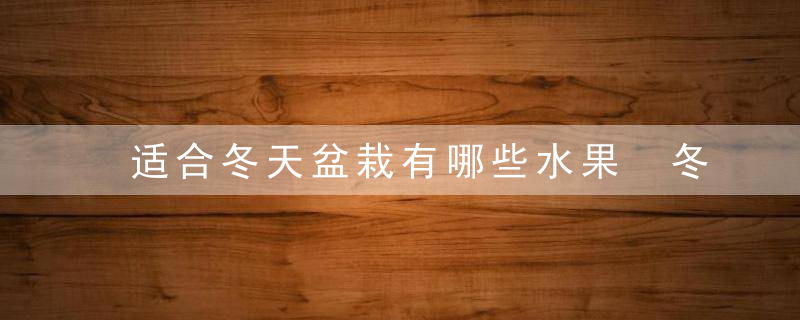 适合冬天盆栽有哪些水果 冬天可以盆栽的水果都有哪些